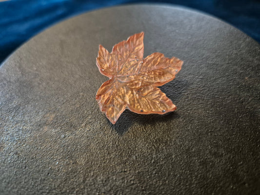 Autumn leaf