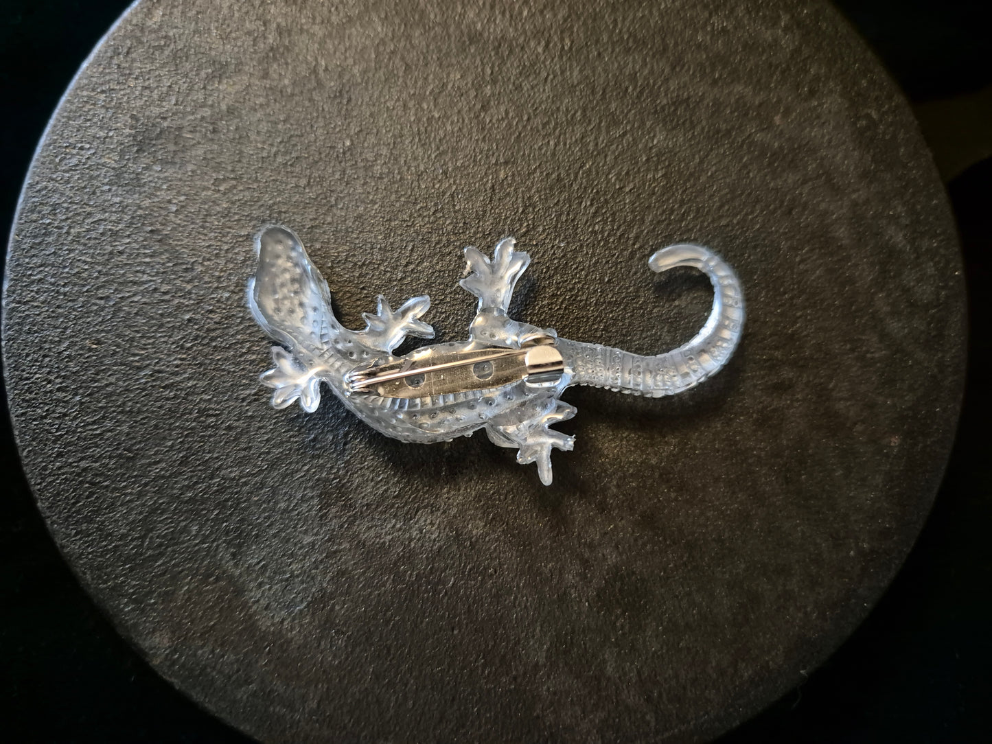 Silver lizard